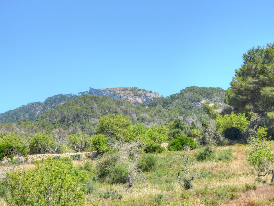 Helårsgrund i Es Carritxo, Mallorca - foto 4