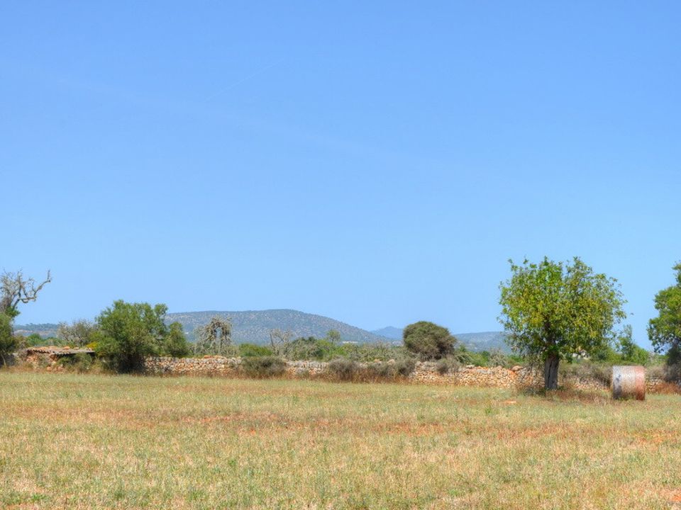 Helårsgrund i Santanyi, Mallorca - foto 1