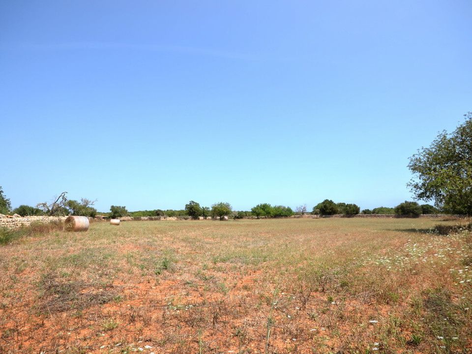 Helårsgrund i Santanyi, Mallorca - foto 2