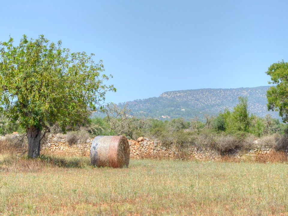 Helårsgrund i Santanyi, Mallorca - foto 5