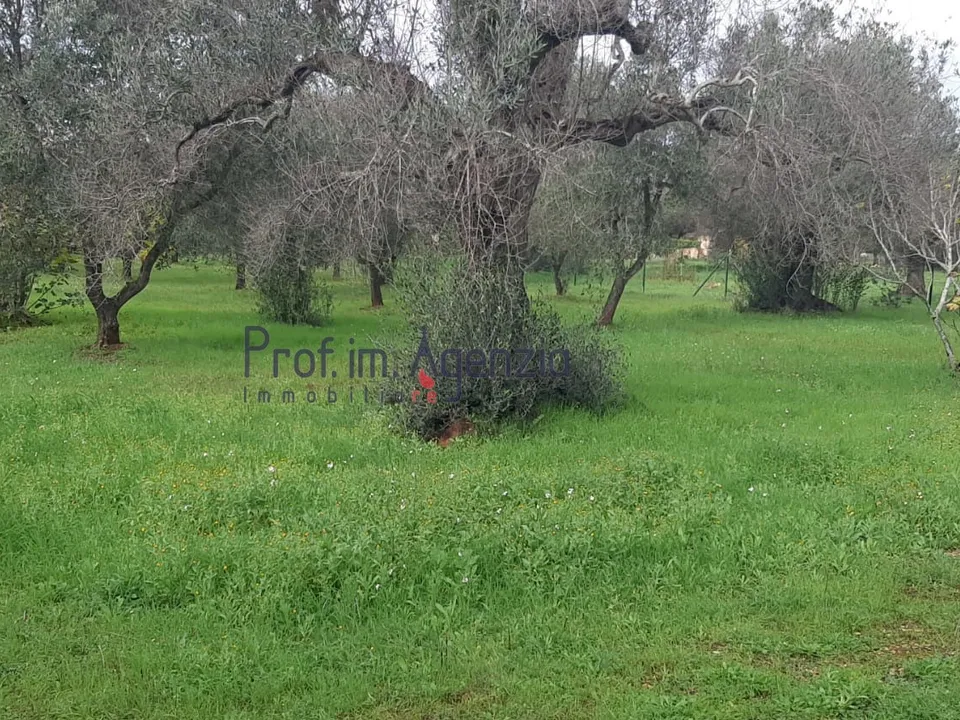 Helårsgrund i San Michele Salentino, Brindisi - foto 2