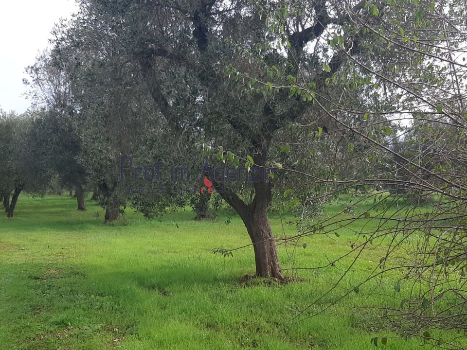 Helårsgrund i San Michele Salentino, Brindisi - foto 5