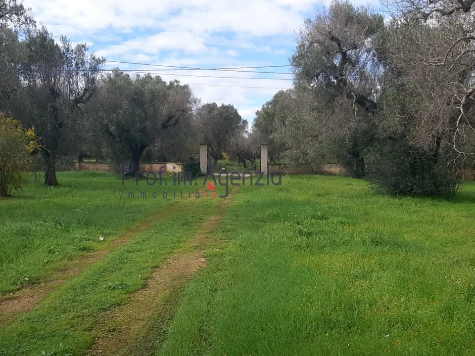 Helårsgrund i San Michele Salentino, Brindisi - foto 3