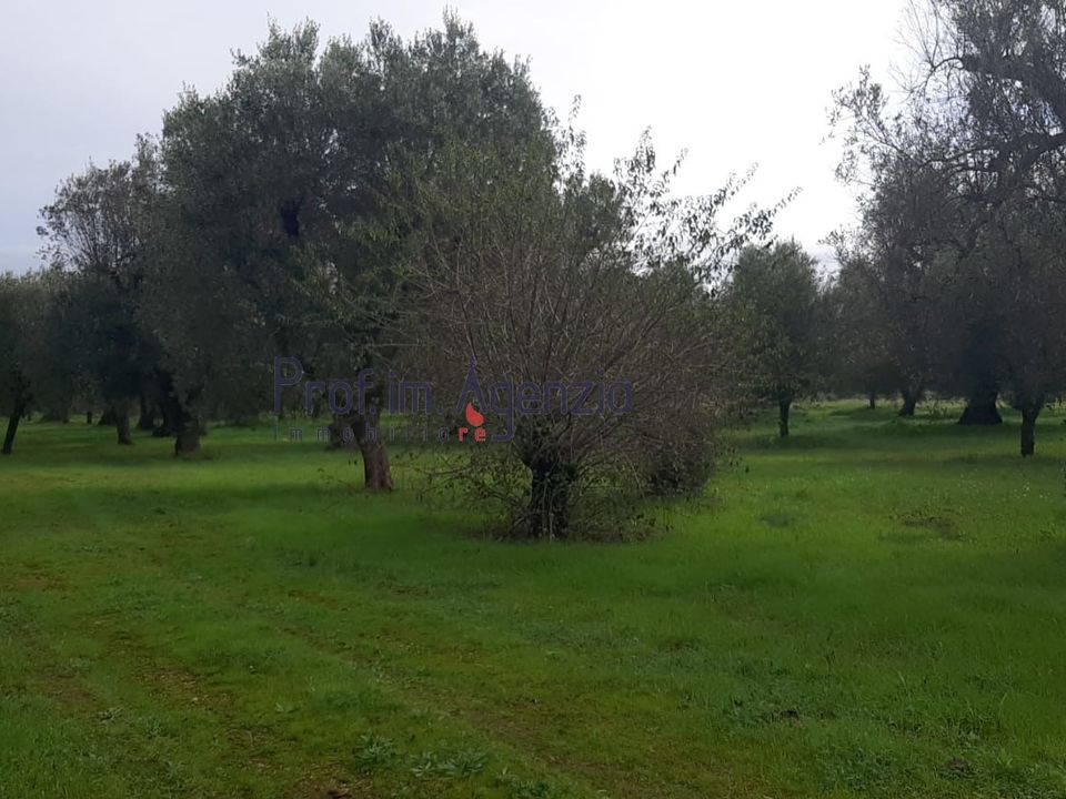 Helårsgrund i San Michele Salentino, Brindisi - foto 1