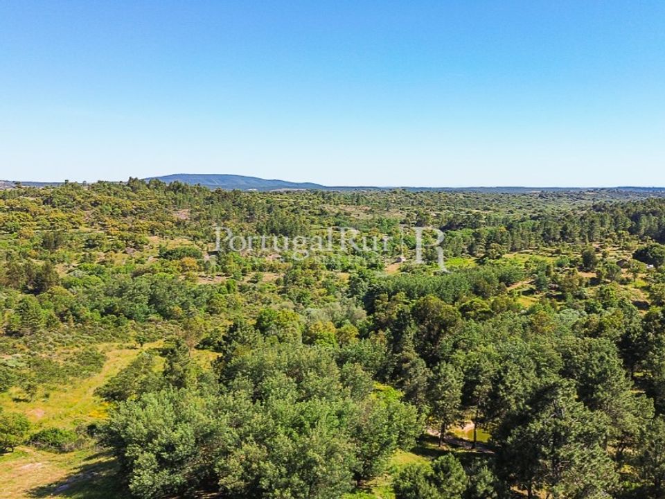 Farm i Monsanto e Idanha-a-Velha, Castelo Branco - foto 1