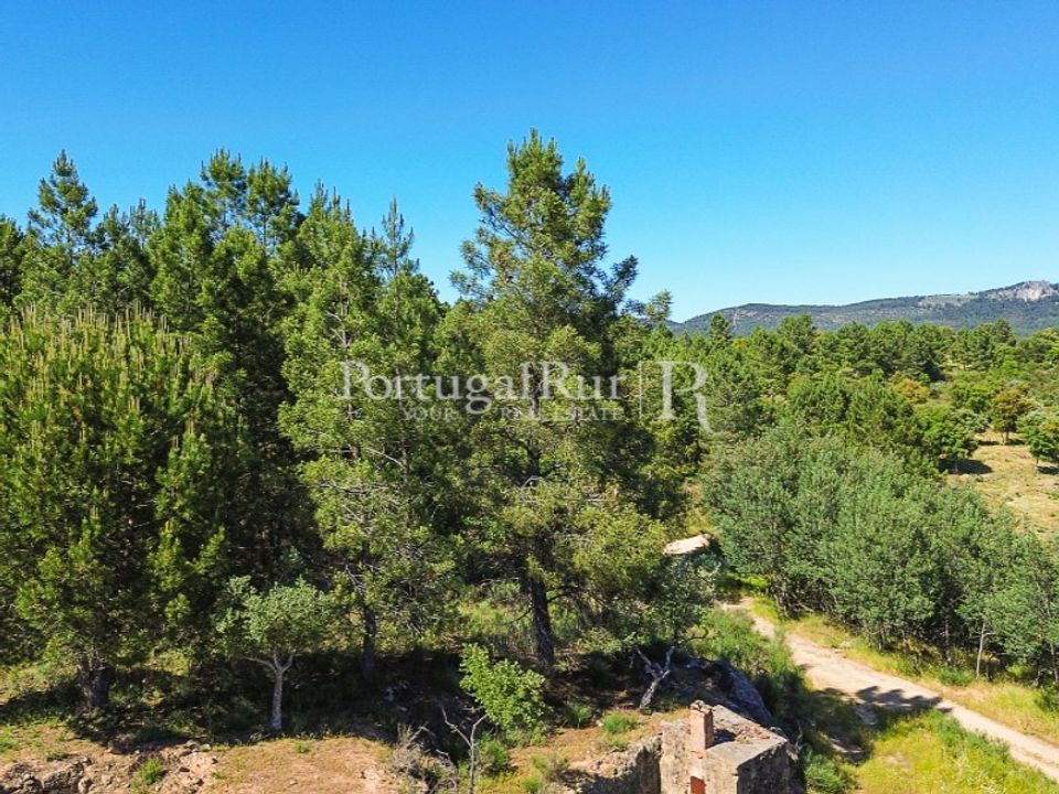Farm i Monsanto e Idanha-a-Velha, Castelo Branco - foto 5