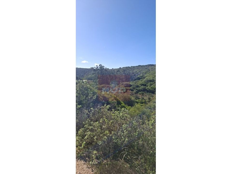Helårsgrund i Sagres, Faro - foto 3