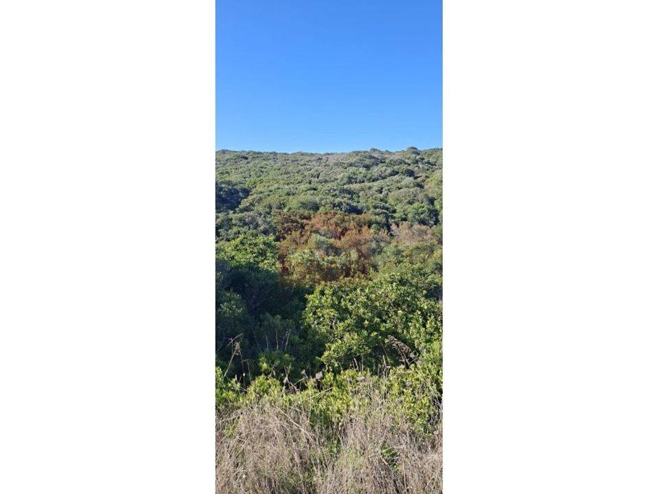 Helårsgrund i Sagres, Faro - foto 4