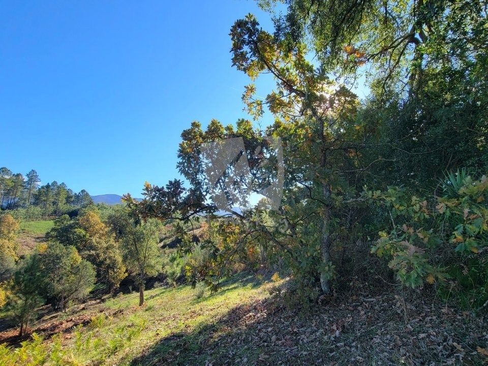 Helårsgrund i Fundao, Castelo Branco - foto 2