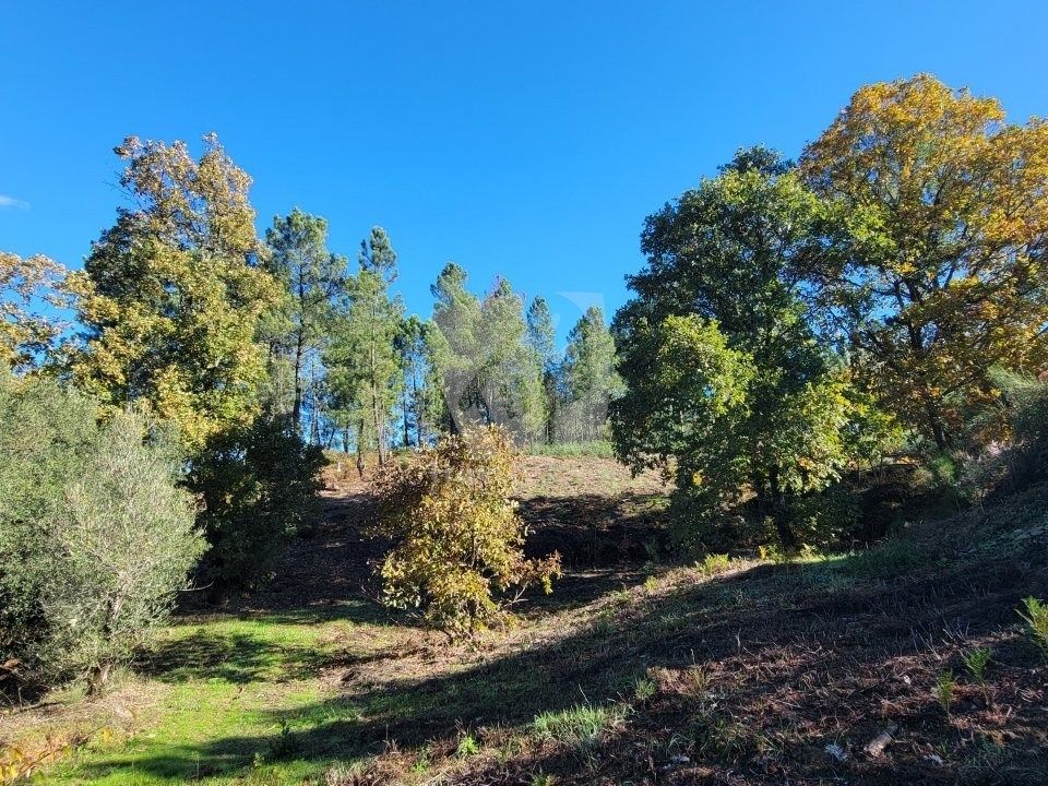 Helårsgrund i Fundao, Castelo Branco - foto 3