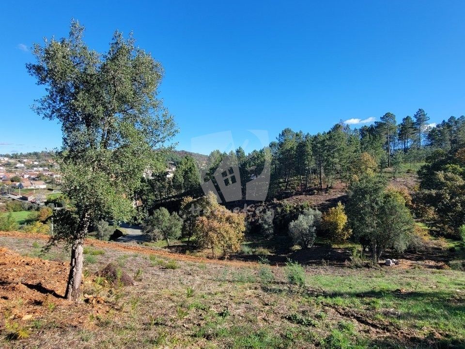 Helårsgrund i Fundao, Castelo Branco - foto 4