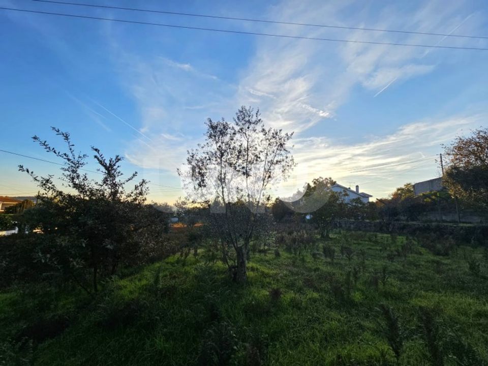 Helårsgrund i Rio de Loba, Viseu - foto 4