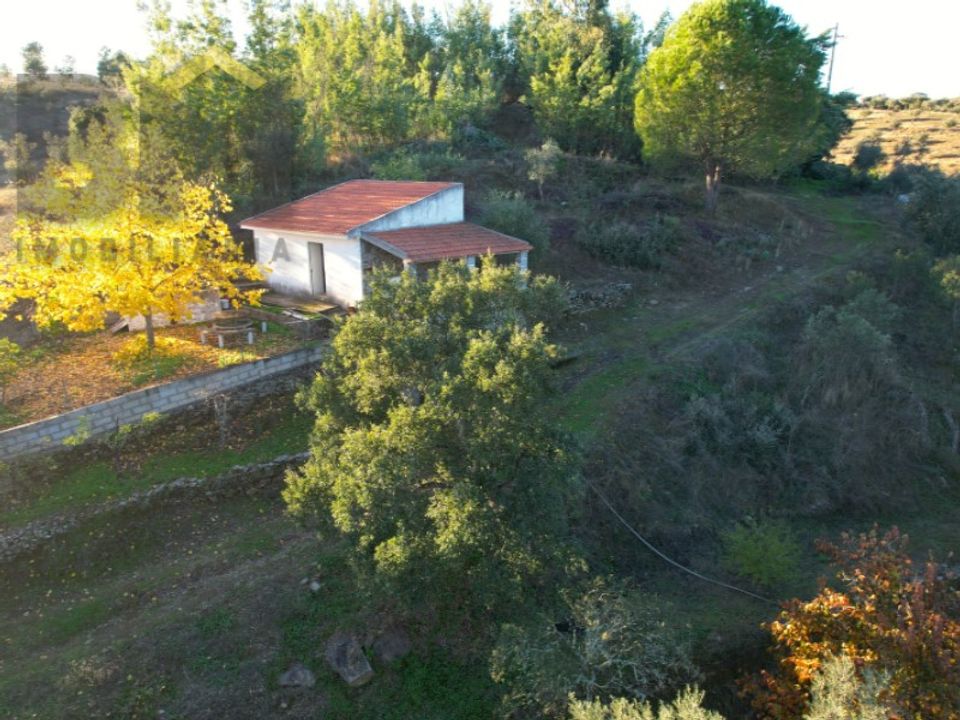 Farm i Castelo Branco, Castelo Branco - foto 1