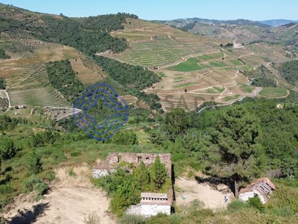 Granja a Sabrosa, Vila Real - foto 3