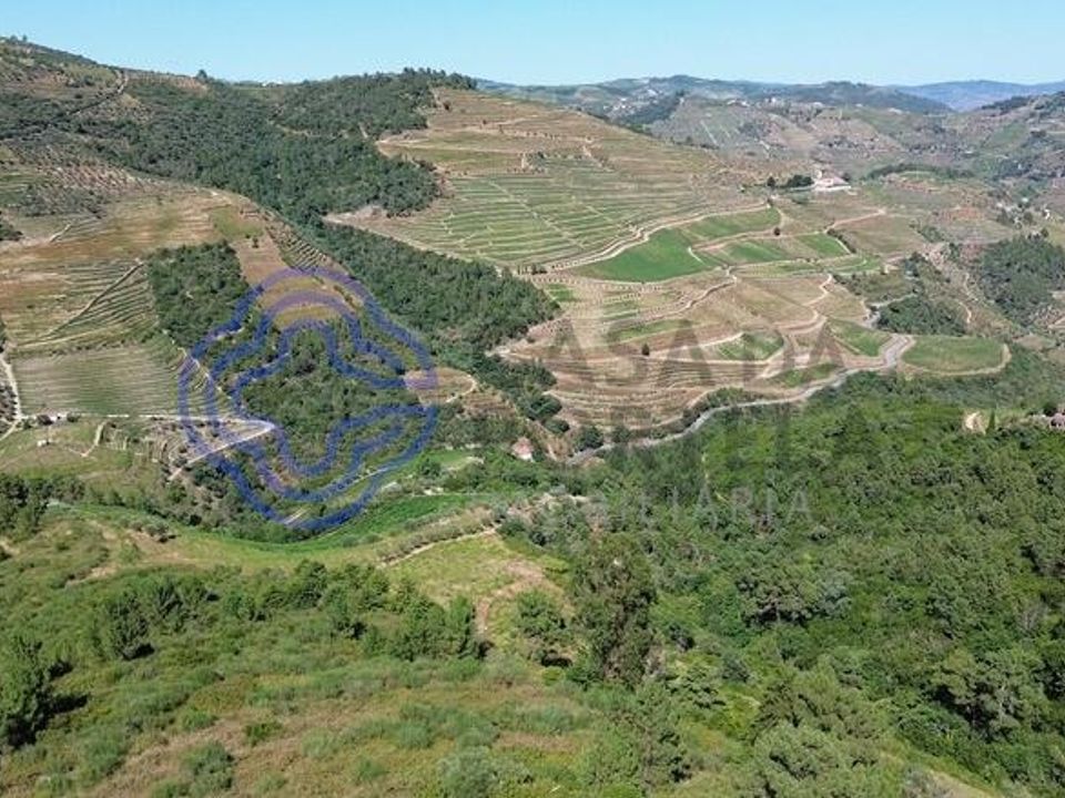 Granja a Sabrosa, Vila Real - foto 5
