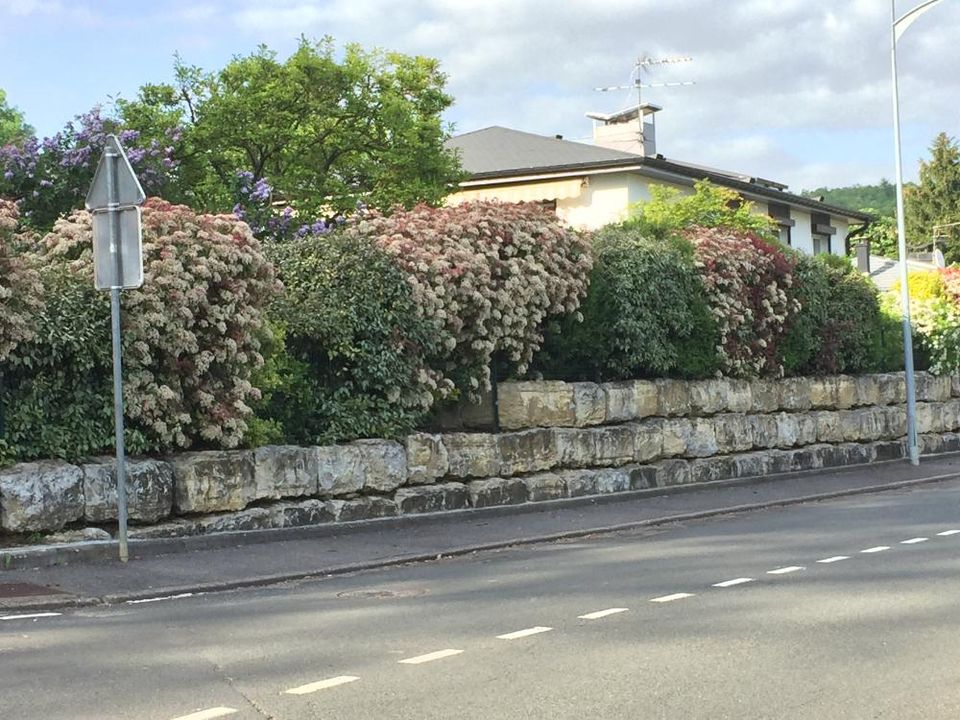 Villa i Bouxières-aux-Dames, Meurthe-et-Moselle - foto 1