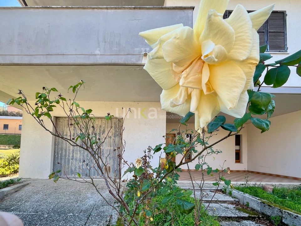 Lejlighed i Cupramontana, Ancona - foto 3
