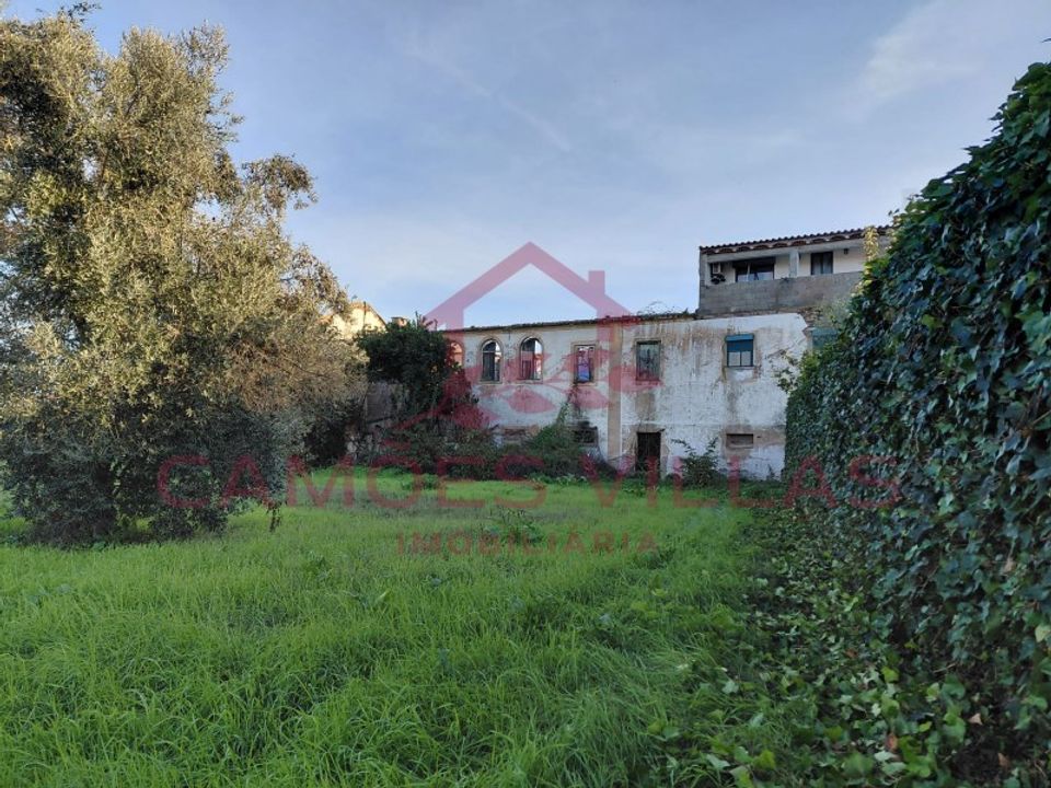 Farm i Abrantes, Santarem - foto 2