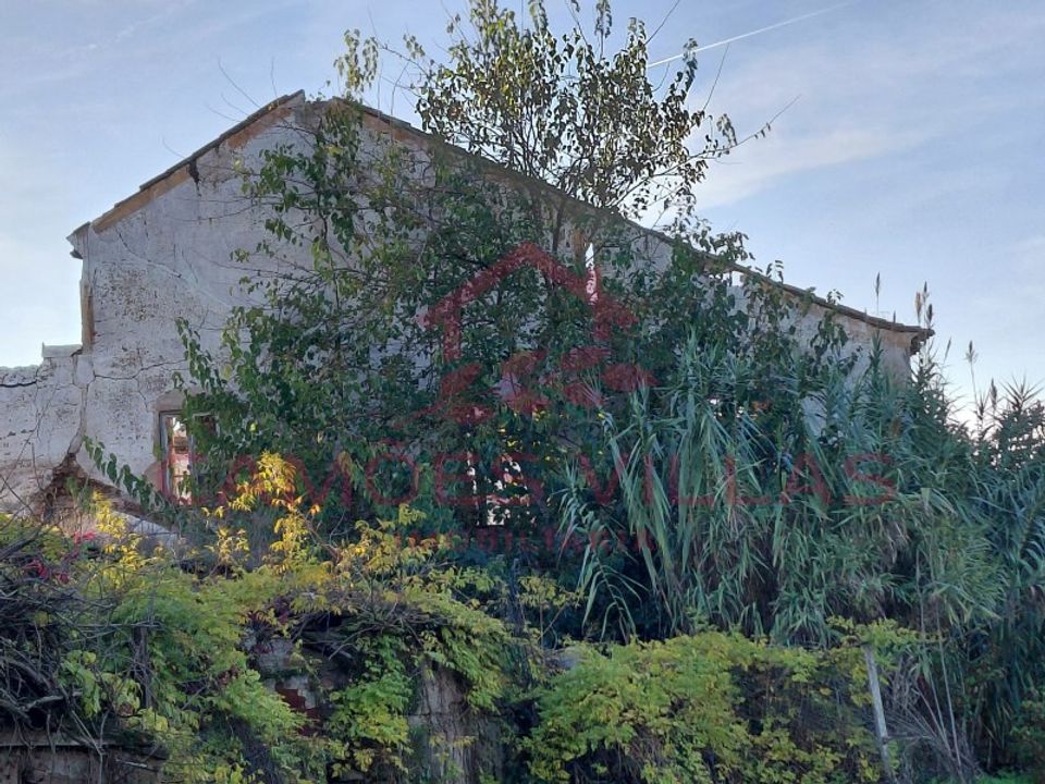 Farm i Abrantes, Santarem - foto 3
