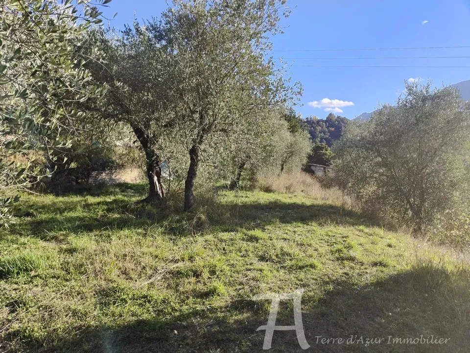 Træhytte i Sospel, Alpes-Maritimes - foto 3