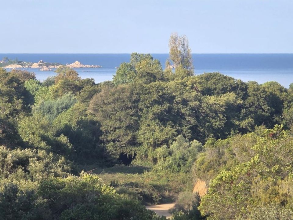 Leilighet i Pietrosella, Corse-du-Sud - bilde 1