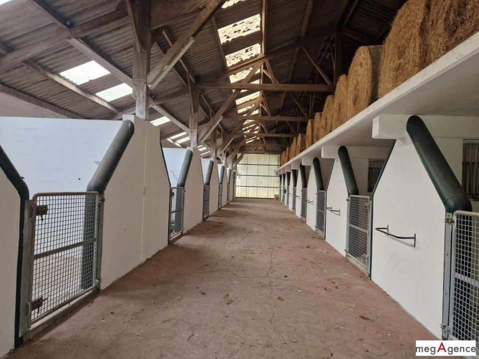 Villa i Nozay, Loire-Atlantique - foto 1