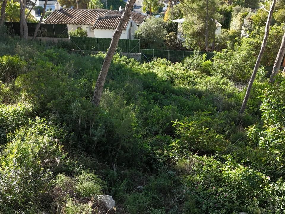 Helårsgrund i Teulada, Alicante - foto 3
