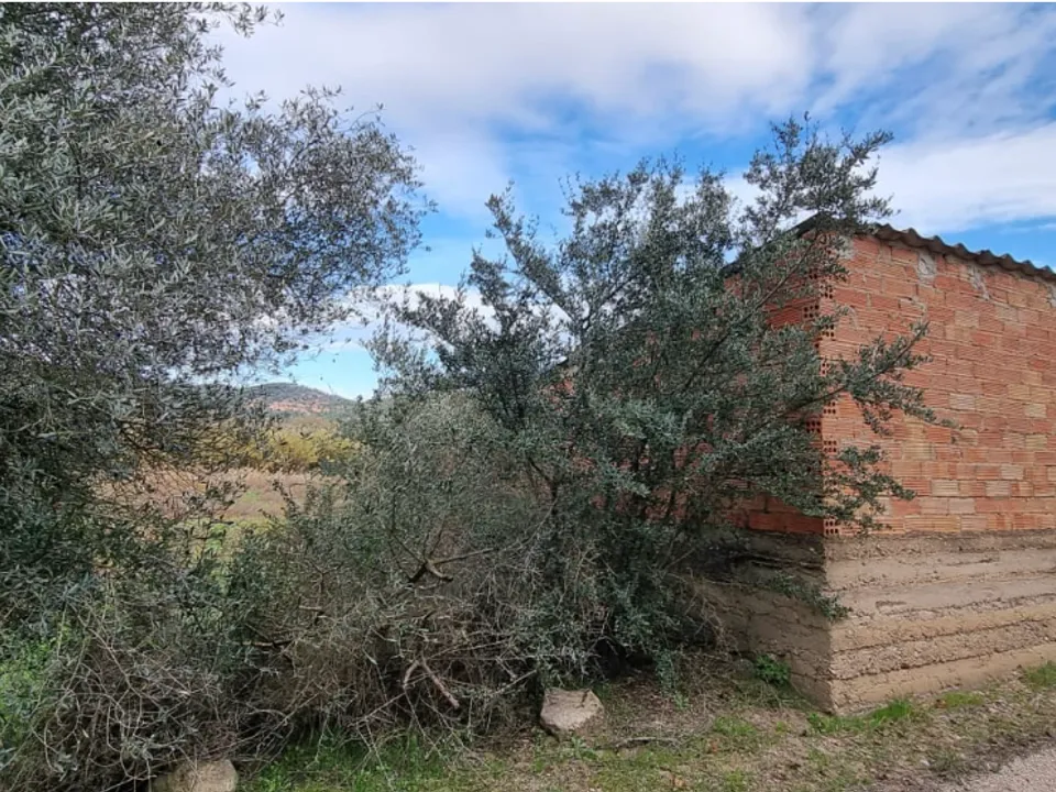 Finca i Garcia, Tarragona - foto 4