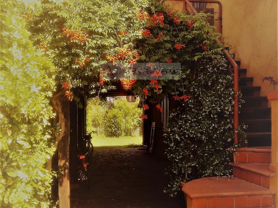 Villa i Forte dei Marmi, Lucca - bilde 5
