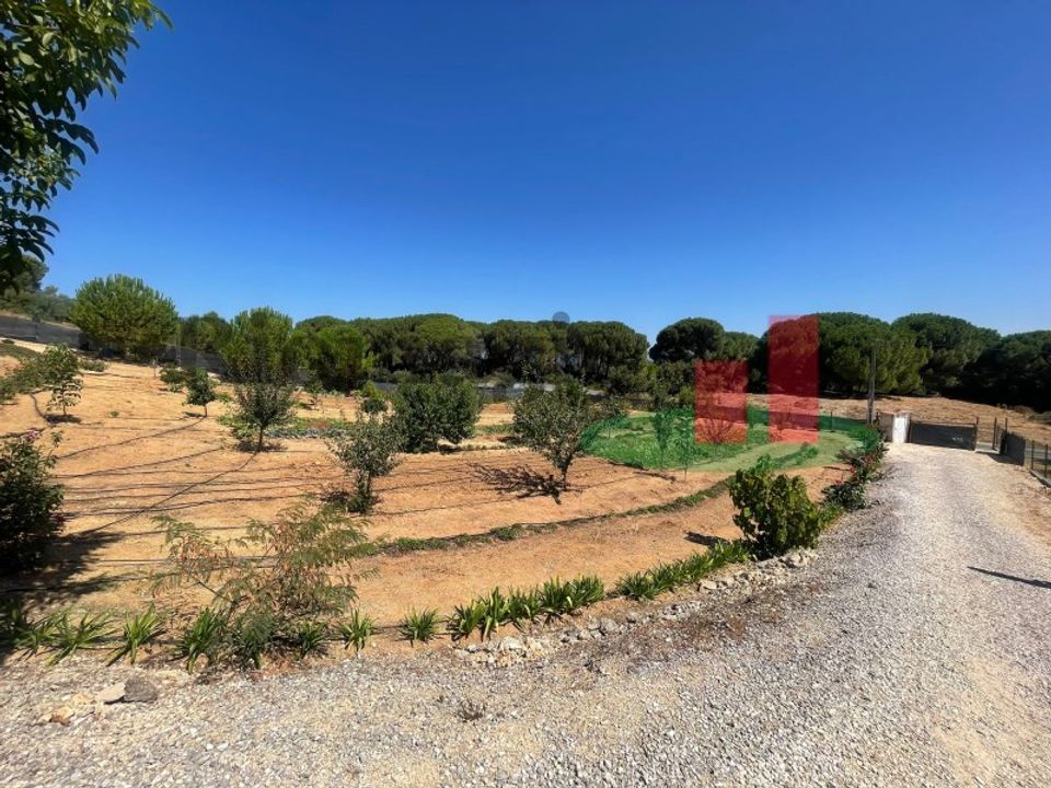 Helårsgrund i Rio Maior, Santarem - foto 5