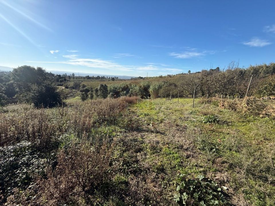 Helårsgrund i Obidos, Leiria - foto 5