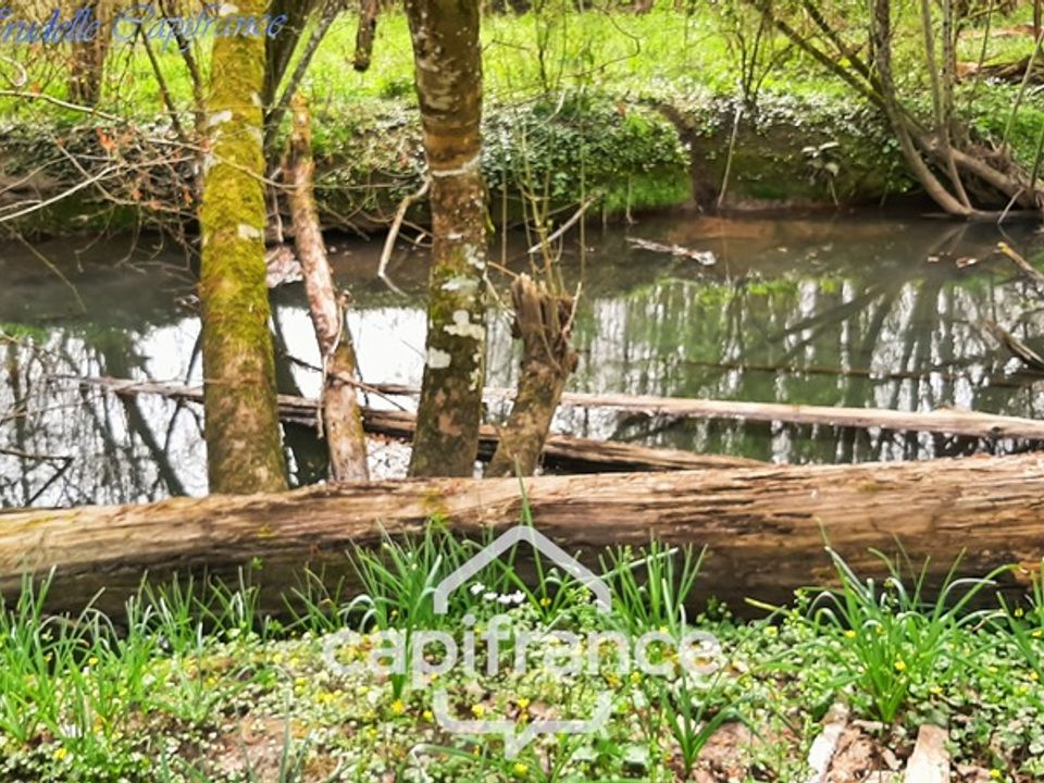 Villa i La Chapelle-Gaugain, Sarthe - foto 3