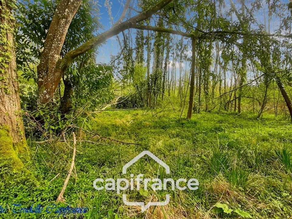 Villa i La Chapelle-Gaugain, Sarthe - foto 5