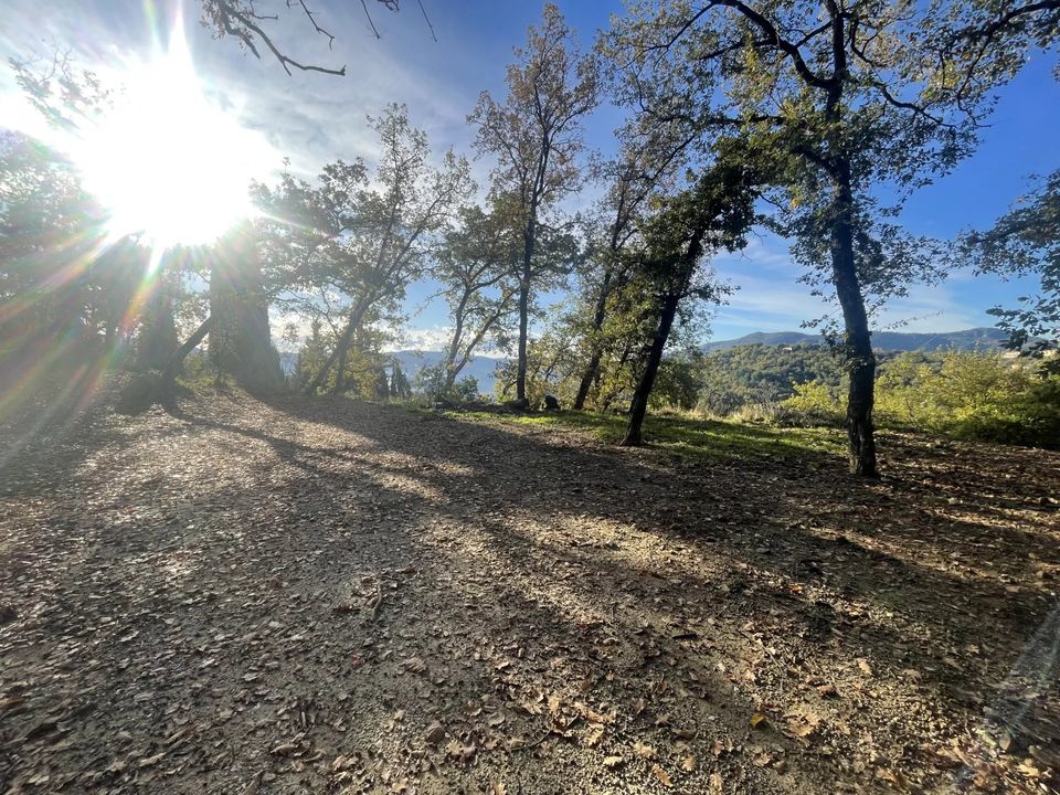 Tomt i Berre-les-Alpes, Alpes-Maritimes - bilde 3