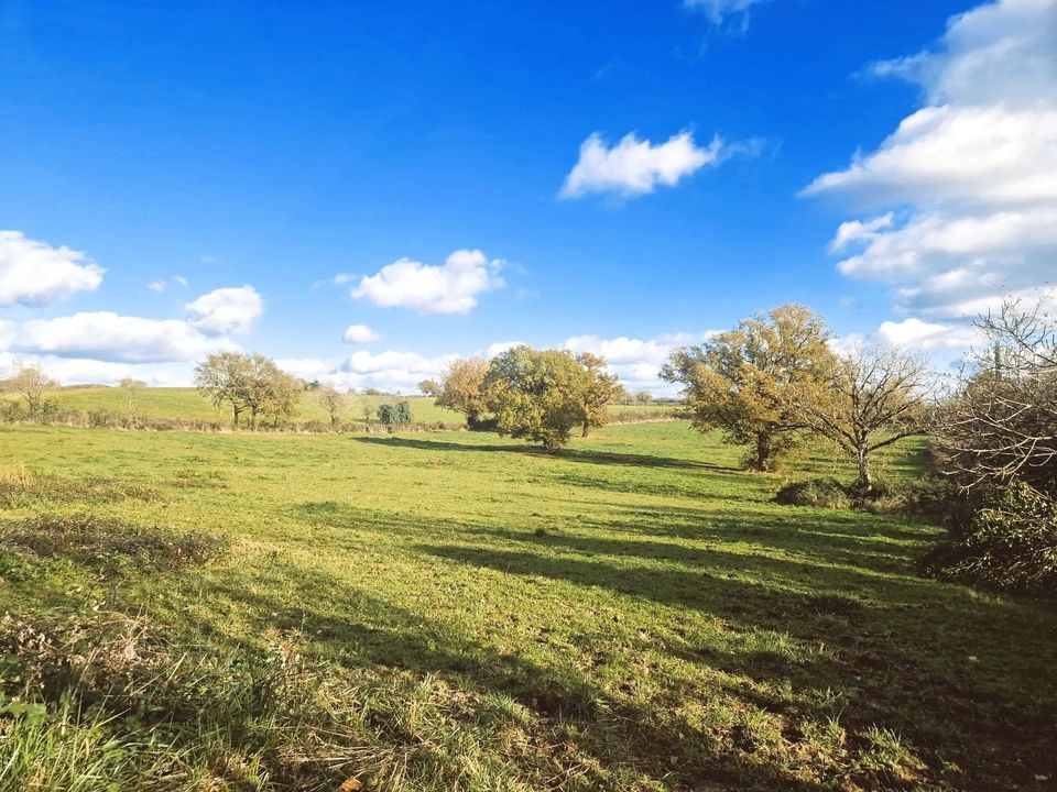 Villa i La Salvetat-Peyralès, Aveyron - foto 4