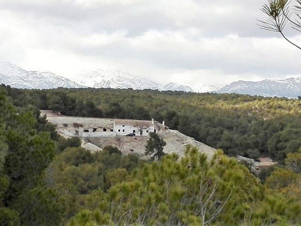 Landejendom i Benamaurel, Granada - foto 1