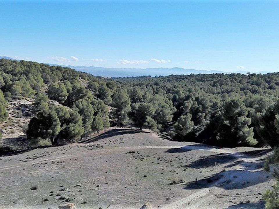 Landejendom i Benamaurel, Granada - foto 3