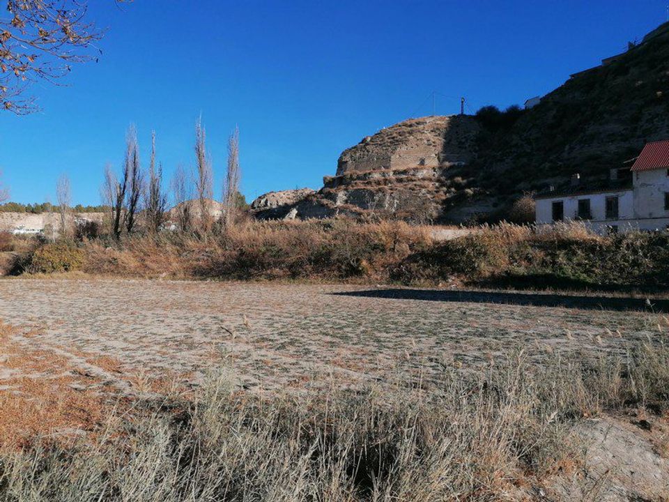 Cave house i Benamaurel, Granada - foto 3