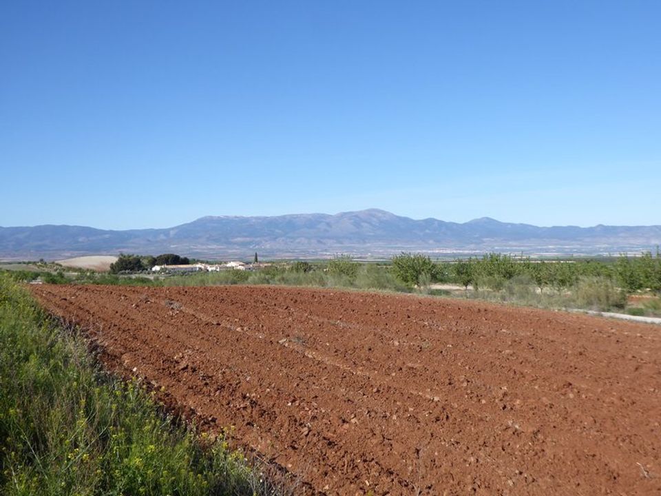 Masia a Jamula, Granada - foto 4
