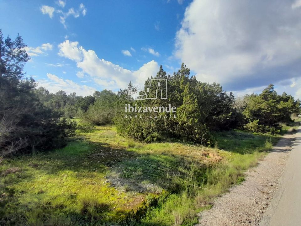 Finca i Sant Josep de sa Talaia, Ibiza - foto 2
