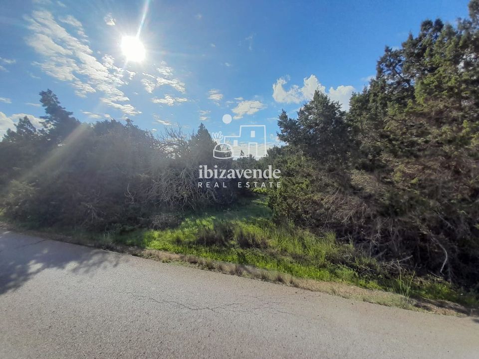 Finca i Sant Josep de sa Talaia, Ibiza - foto 3