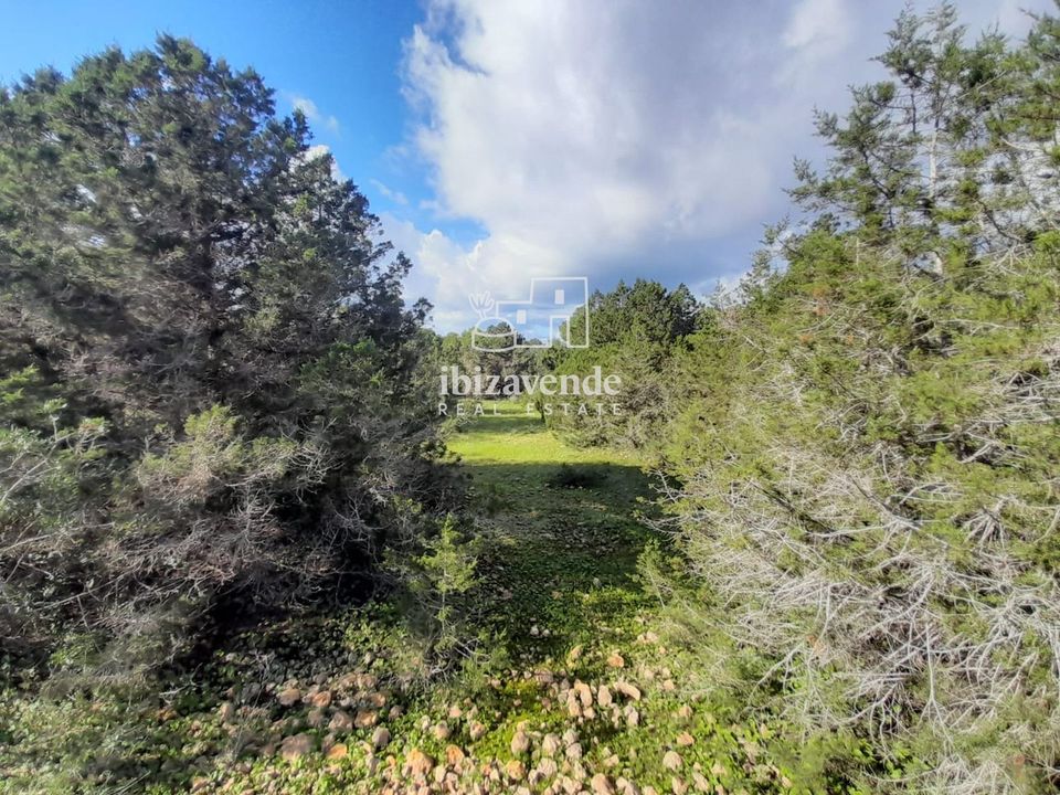 Finca i Sant Josep de sa Talaia, Ibiza - foto 4