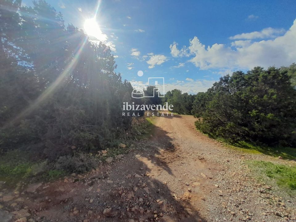 Finca i Sant Josep de sa Talaia, Ibiza - foto 5