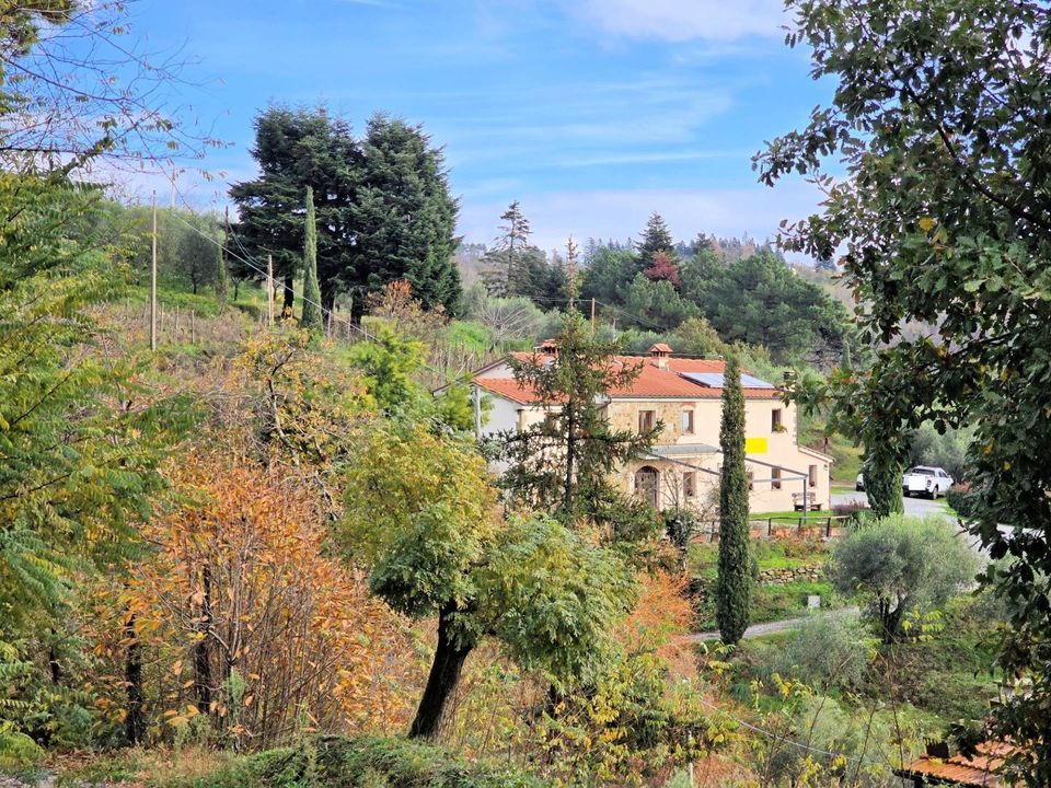Landejendom i Marliana, Pistoia - foto 5