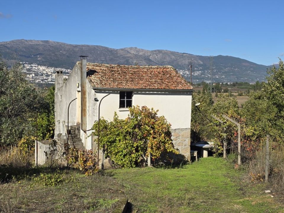Farm i Ferro, Castelo Branco - foto 1