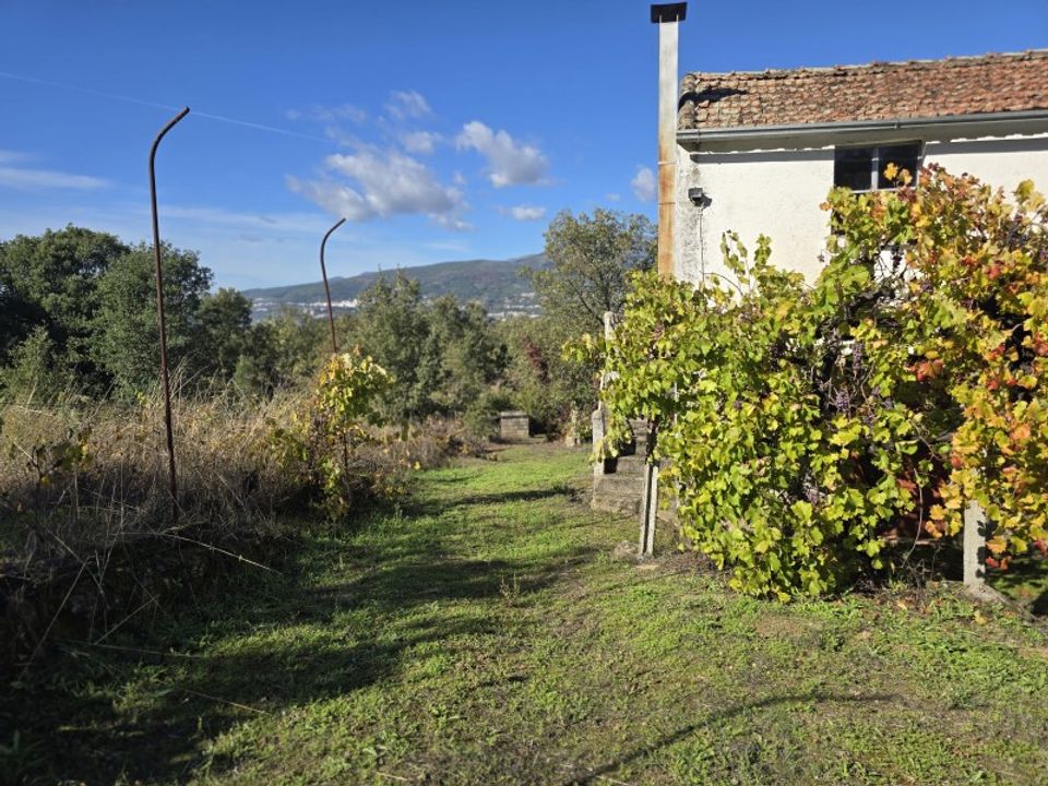 Farm i Ferro, Castelo Branco - foto 2