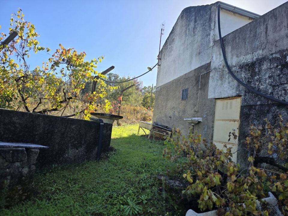 Farm i Ferro, Castelo Branco - foto 5