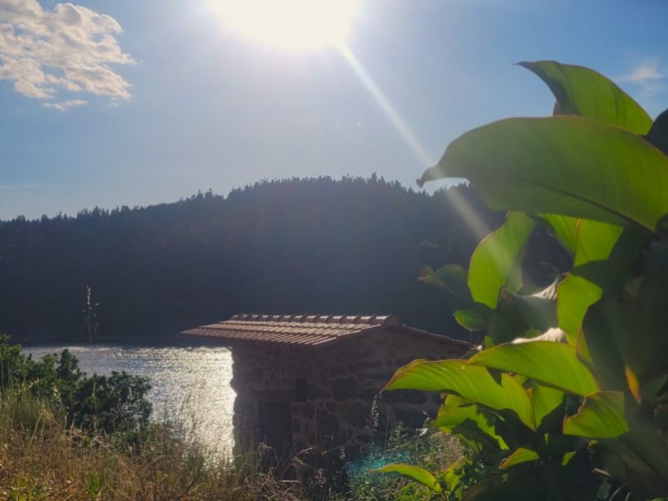 Landejendom i Povoa de Midoes, Coimbra - foto 5