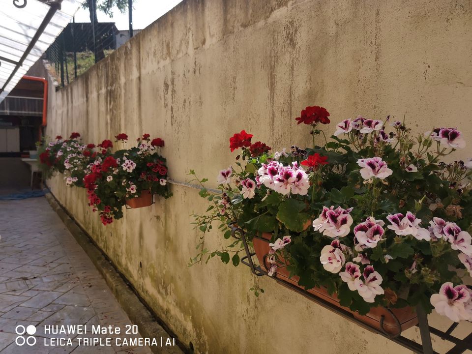 Villa a Farindola, Pescara - foto 4