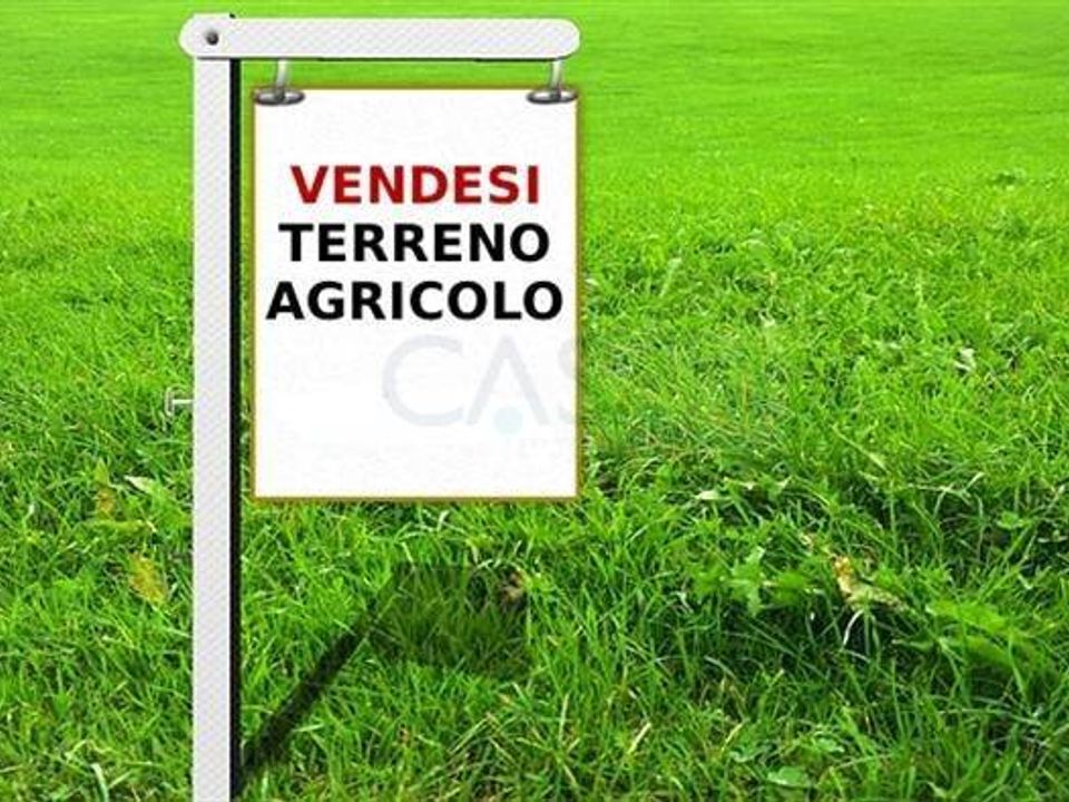 Helårsgrund i Ripatransone, Ascoli Piceno - foto 1